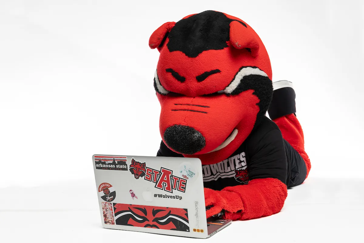 Howl working on a laptop in the studio