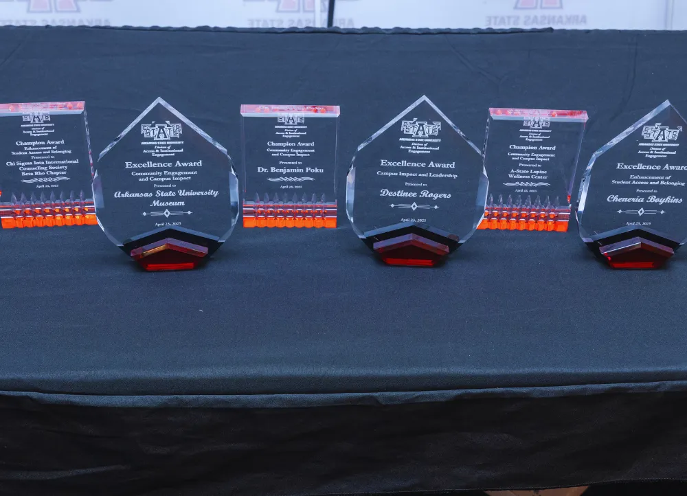 A group of awards sitting on the presentation table at the excellence awards ceremony