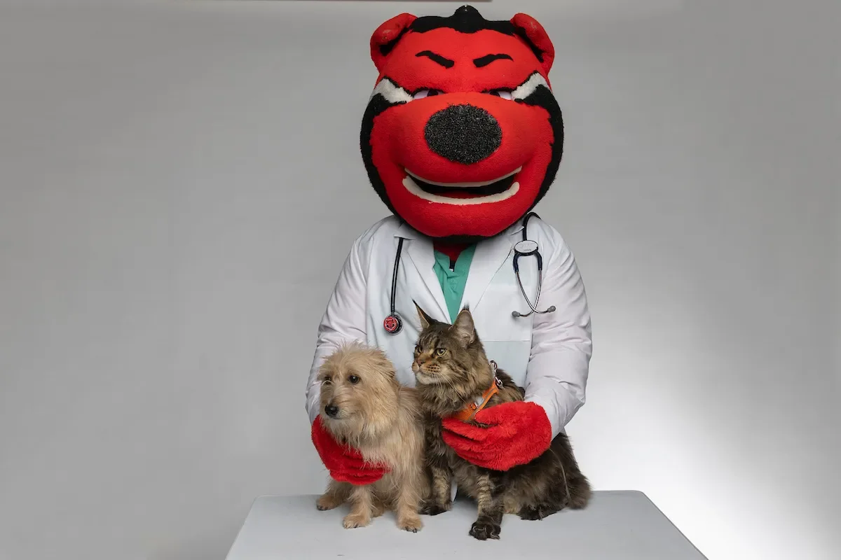 Howl, A-State's mascot, posing with a dog and cat