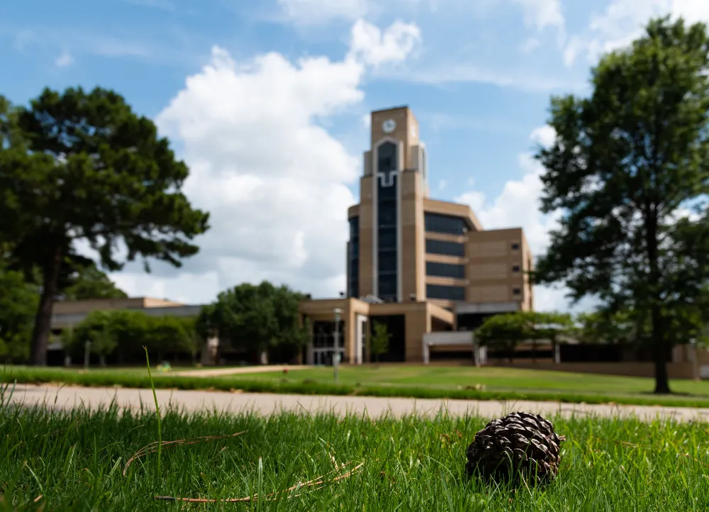 Library building in background with pinecone in foreground