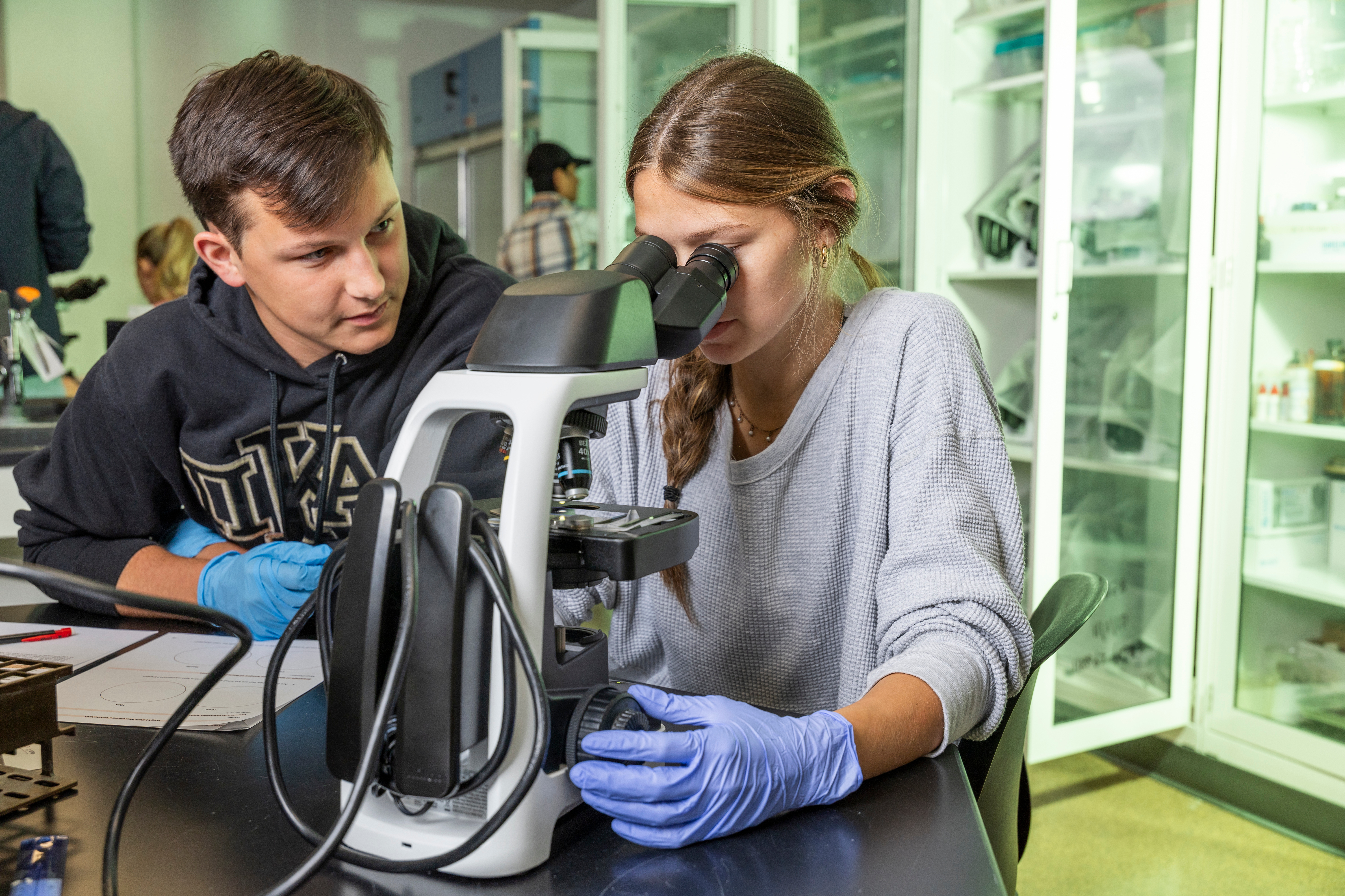 Two students using a microscope during a lab experiment.