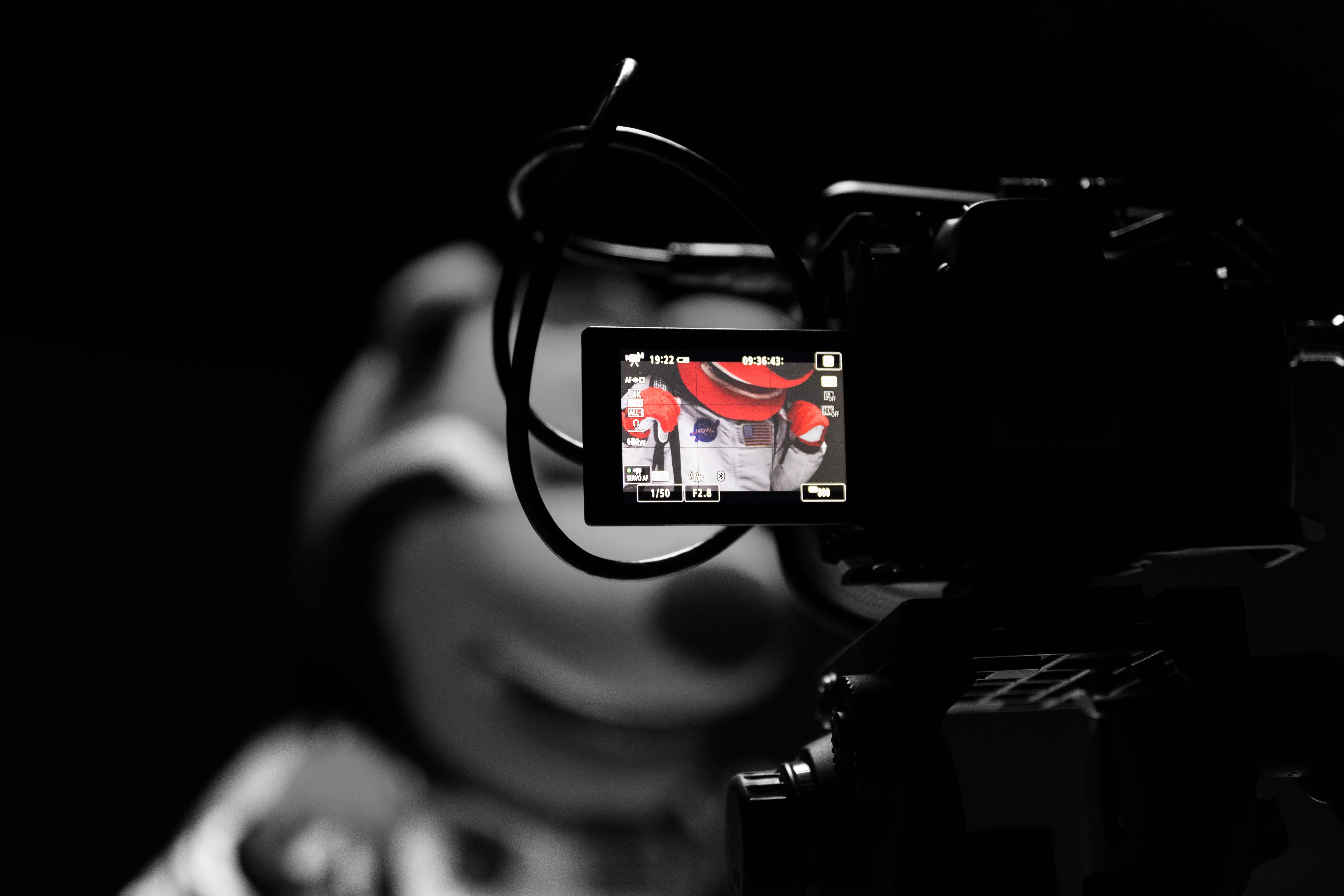 A photo of Howl visible on the viewfinder of a recording camera.