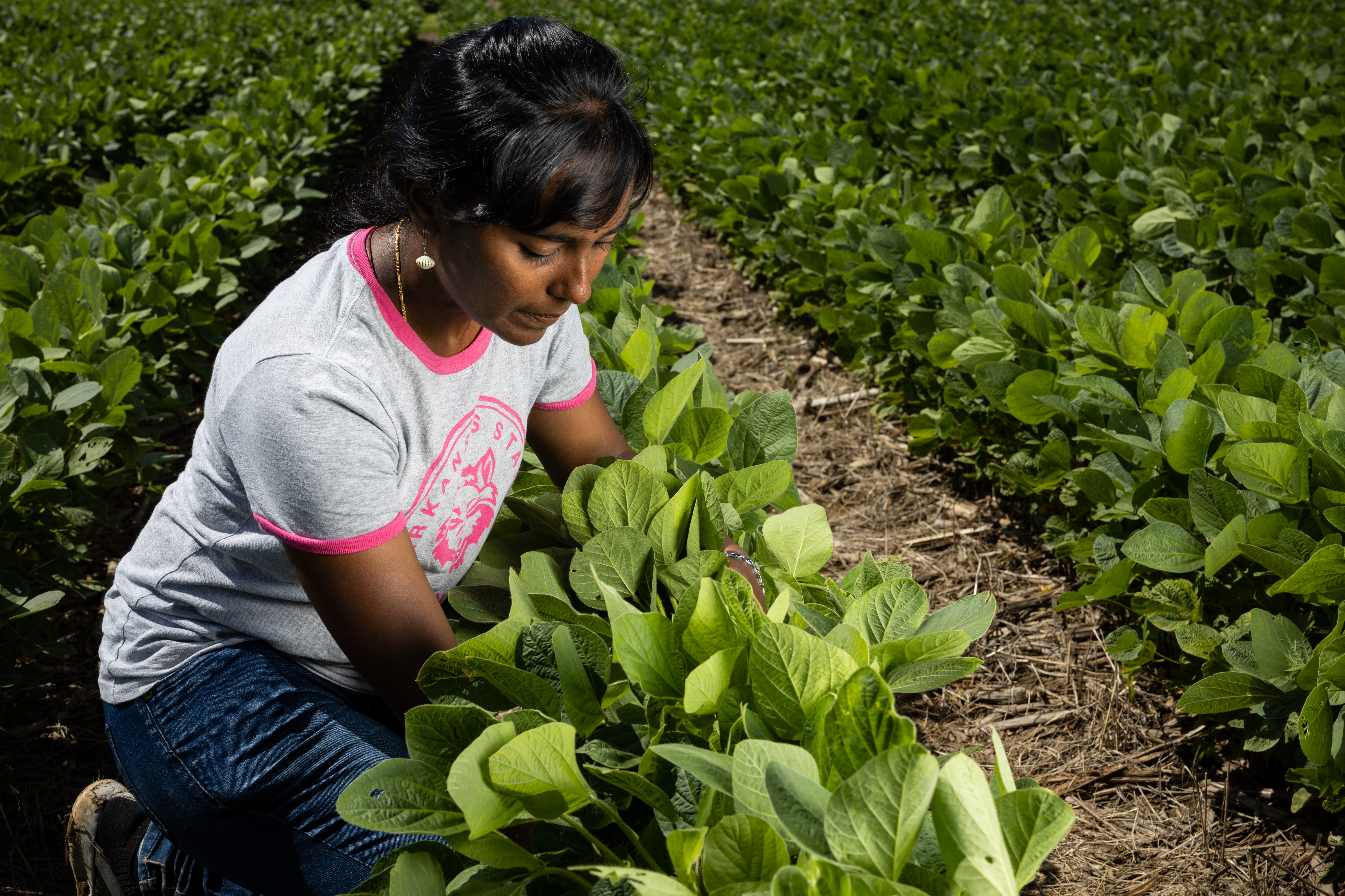 A student collecting data for a Soil Science class.