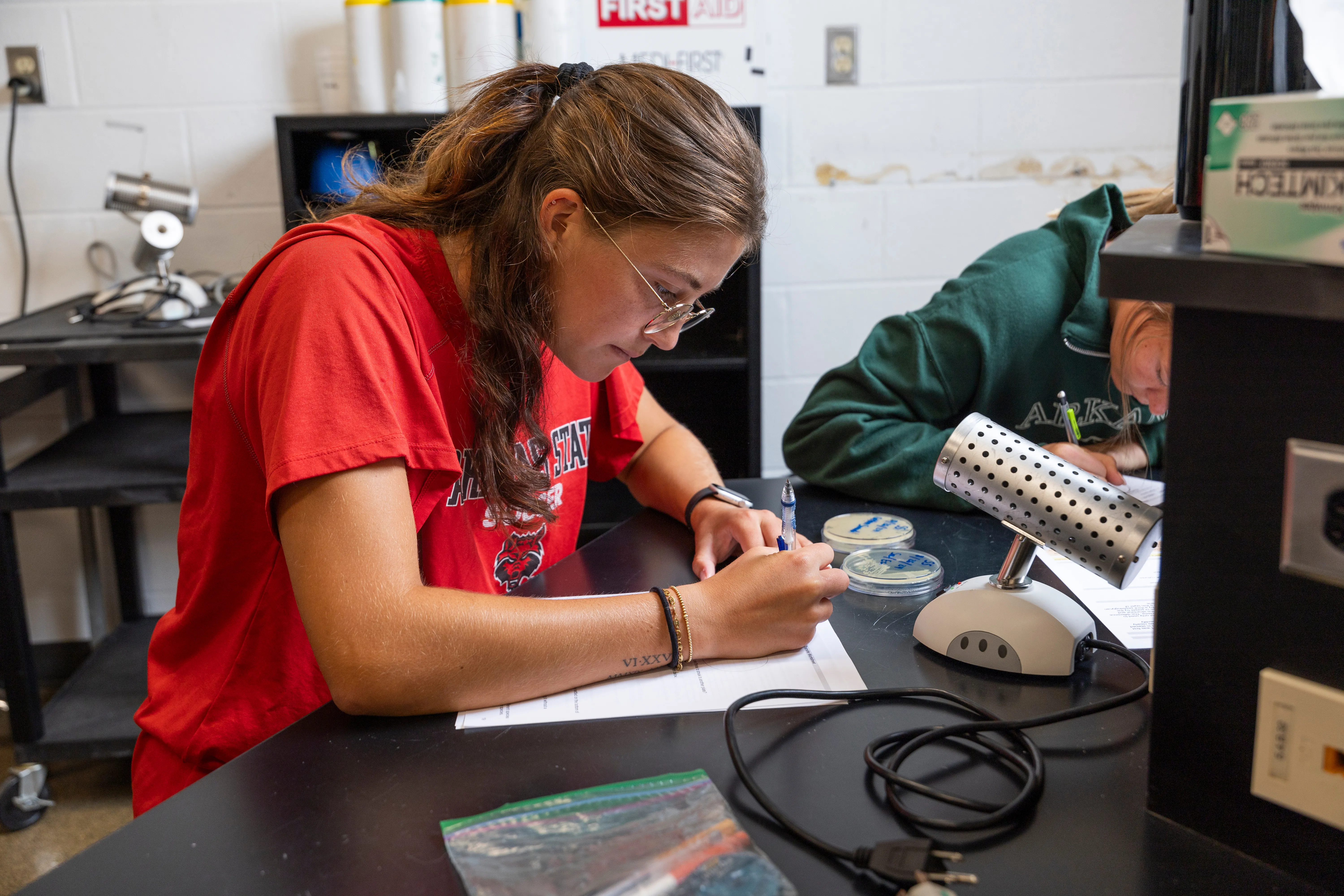 Health sciences student looking at labwork.