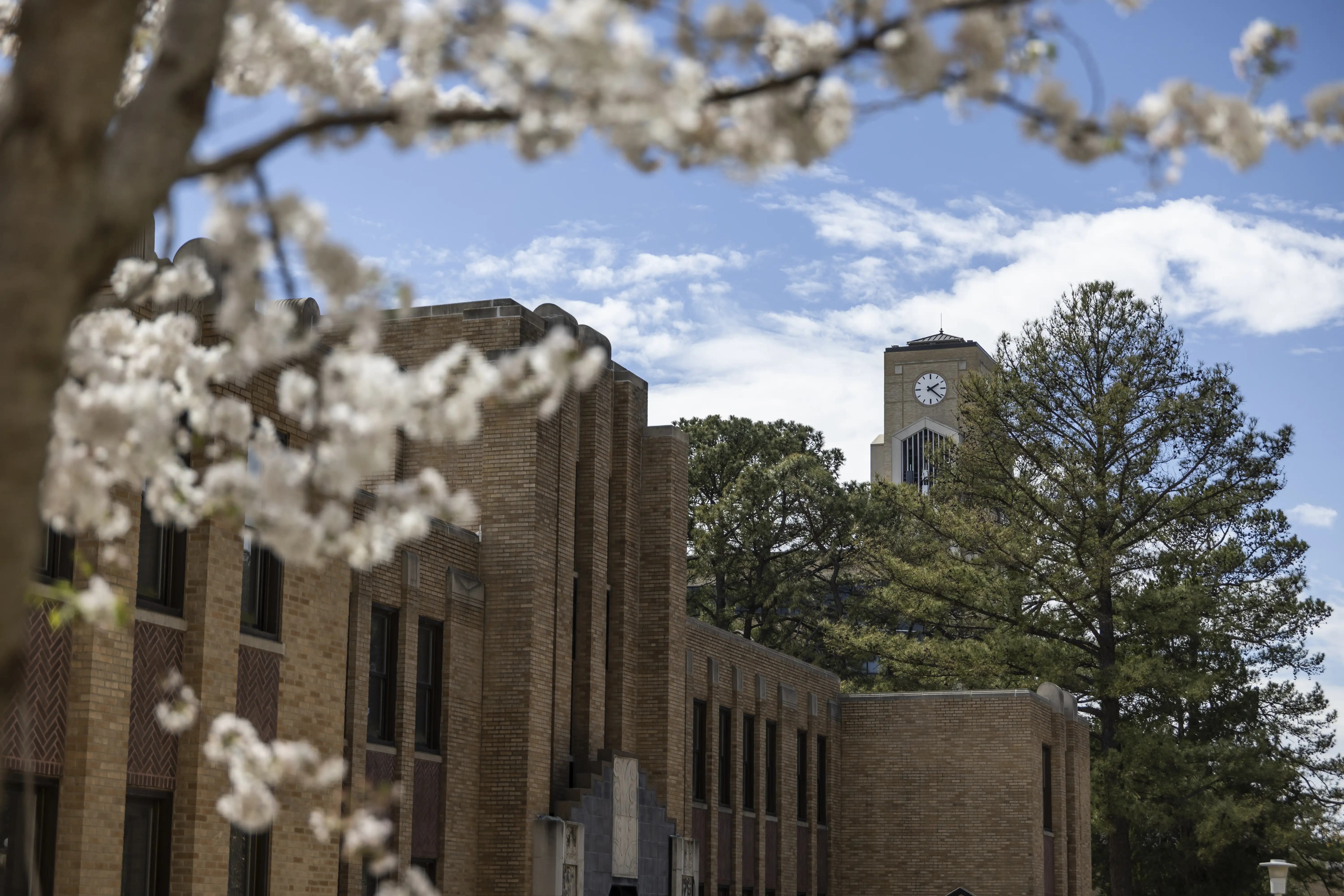 The library clocktower visible over the roof of the Mathematics building.