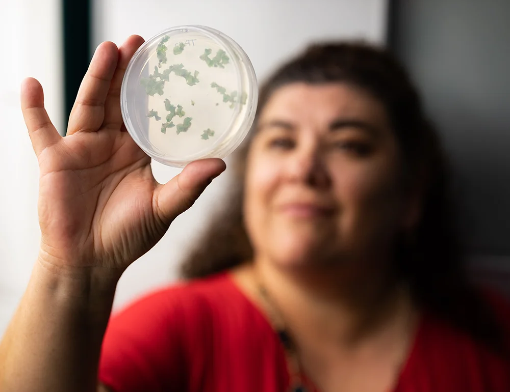 A woman holding up a petri dish containing leaves.