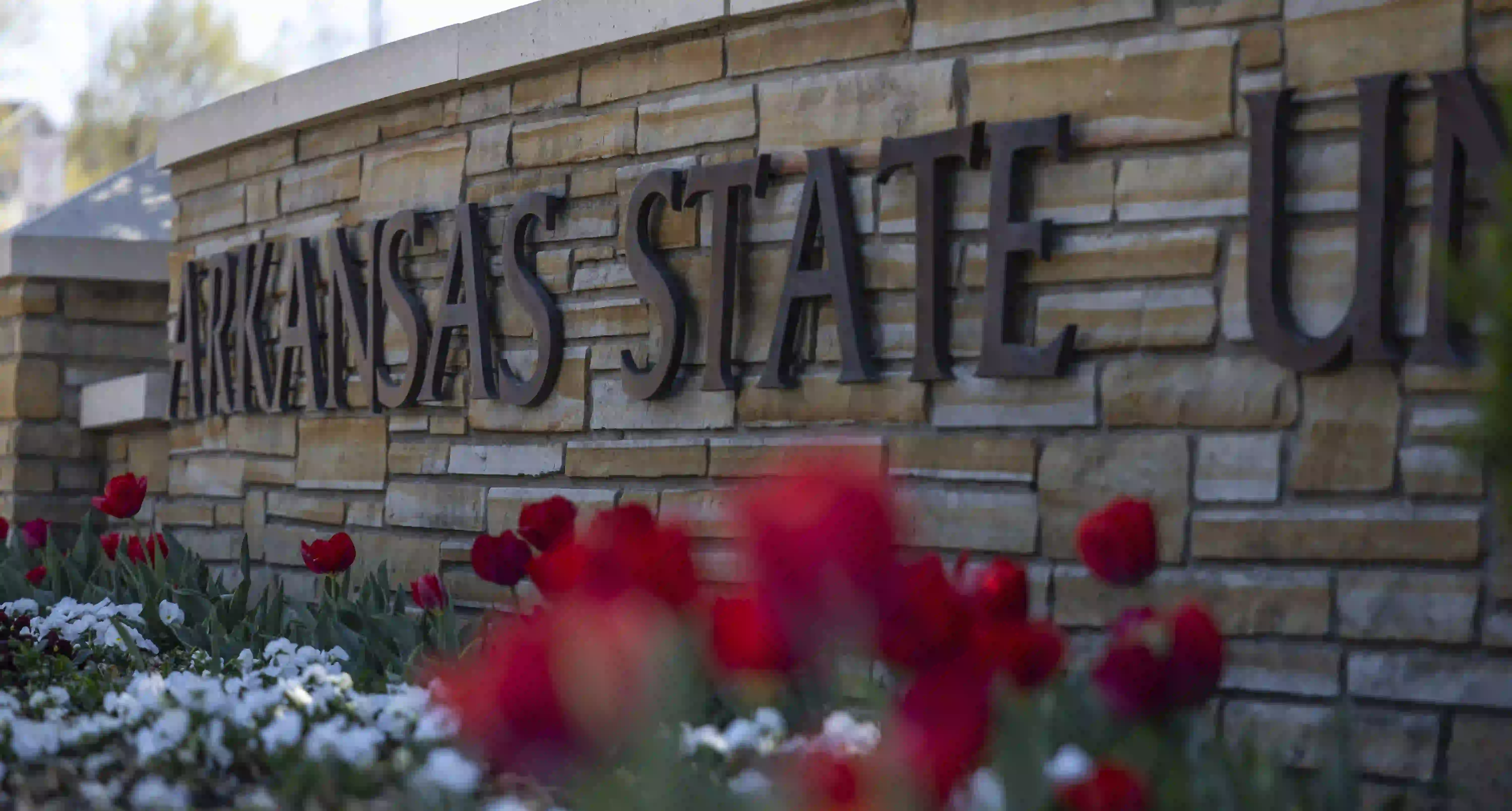 Arkansas State University brick sign with flowers and snow in front.