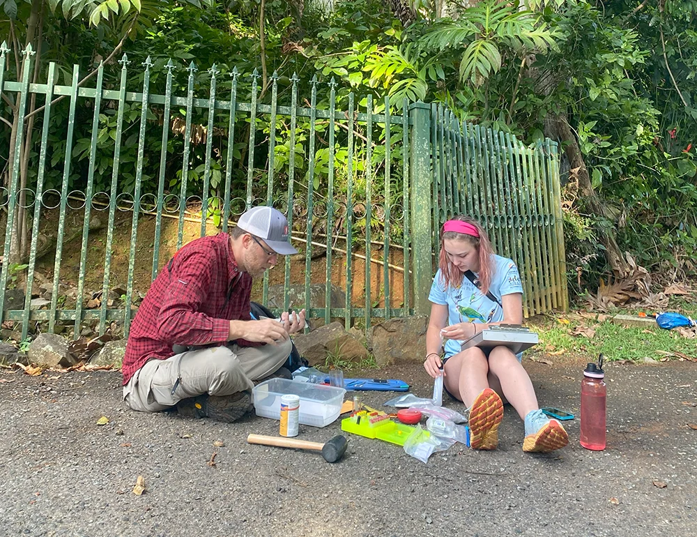 A student and professor tagging birds in the field.