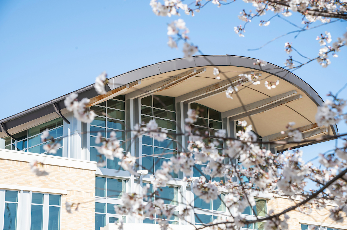 Cherry blossoms frame the Student Union during spring on the A-State campus.