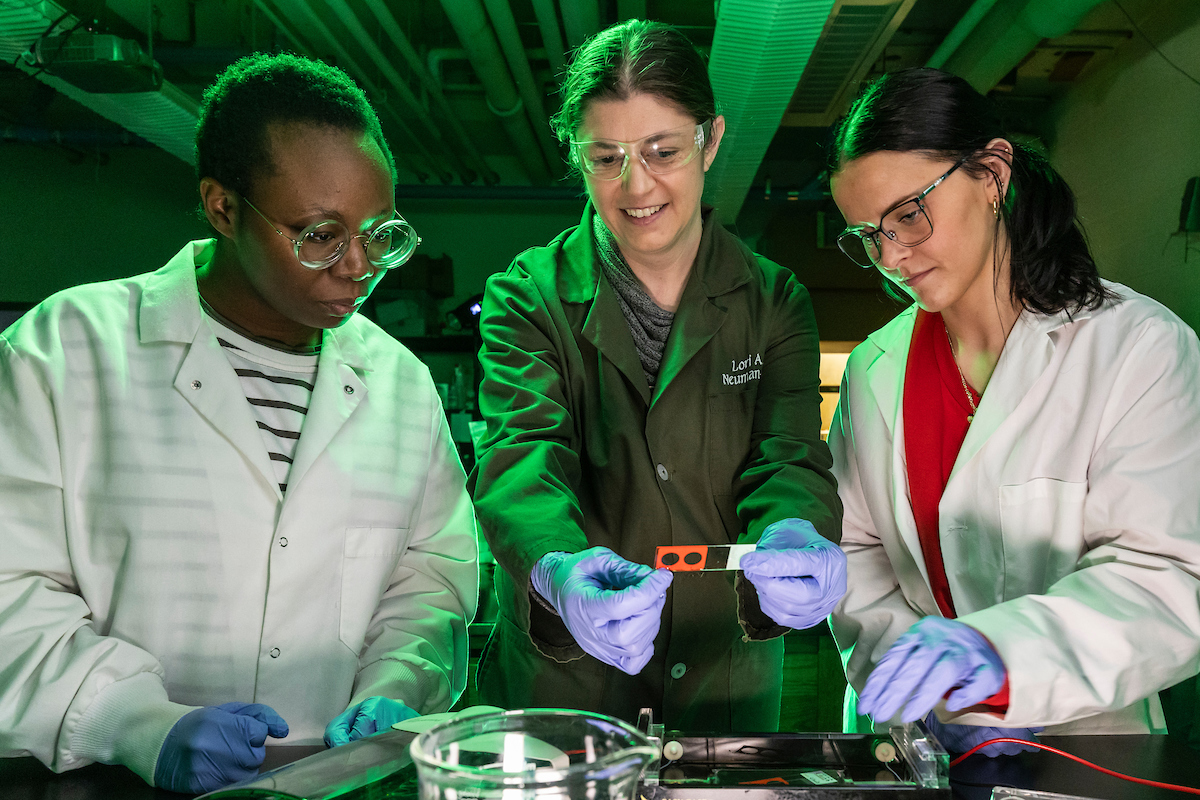 Students conduct a research experiment at Arkansas State.