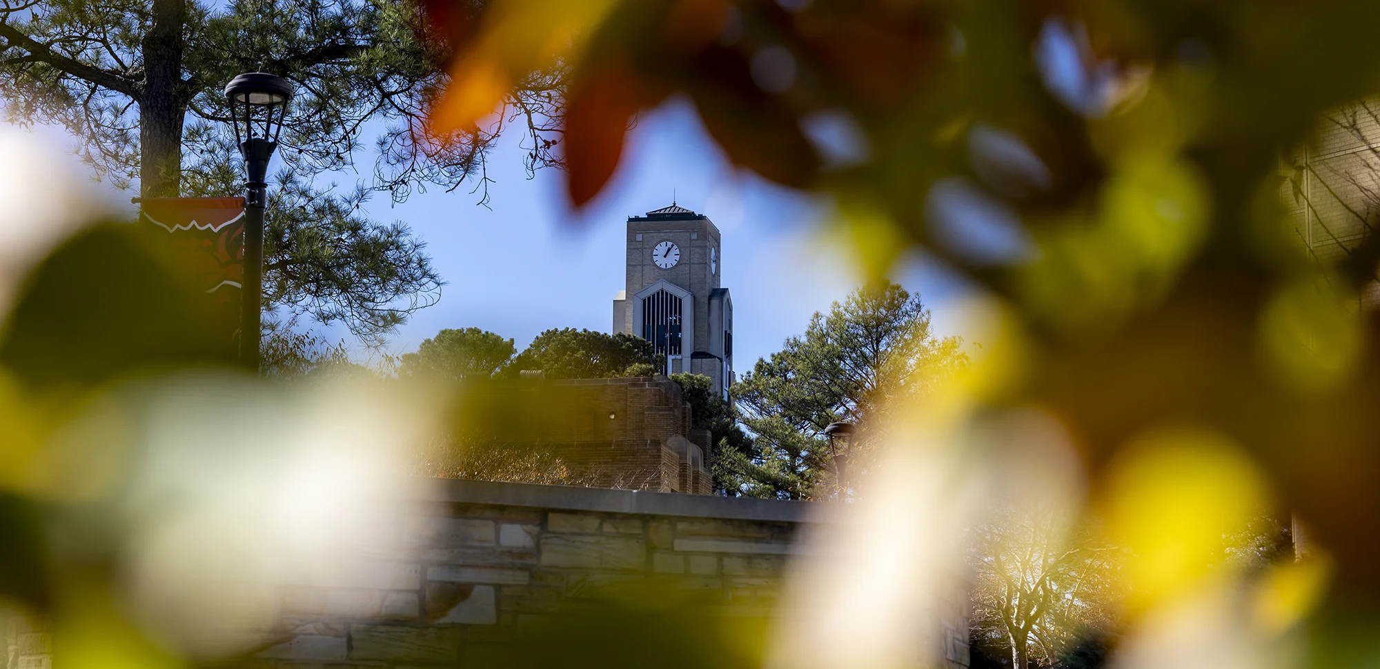 The Dean B. Ellis Library framed by autumn leaves.