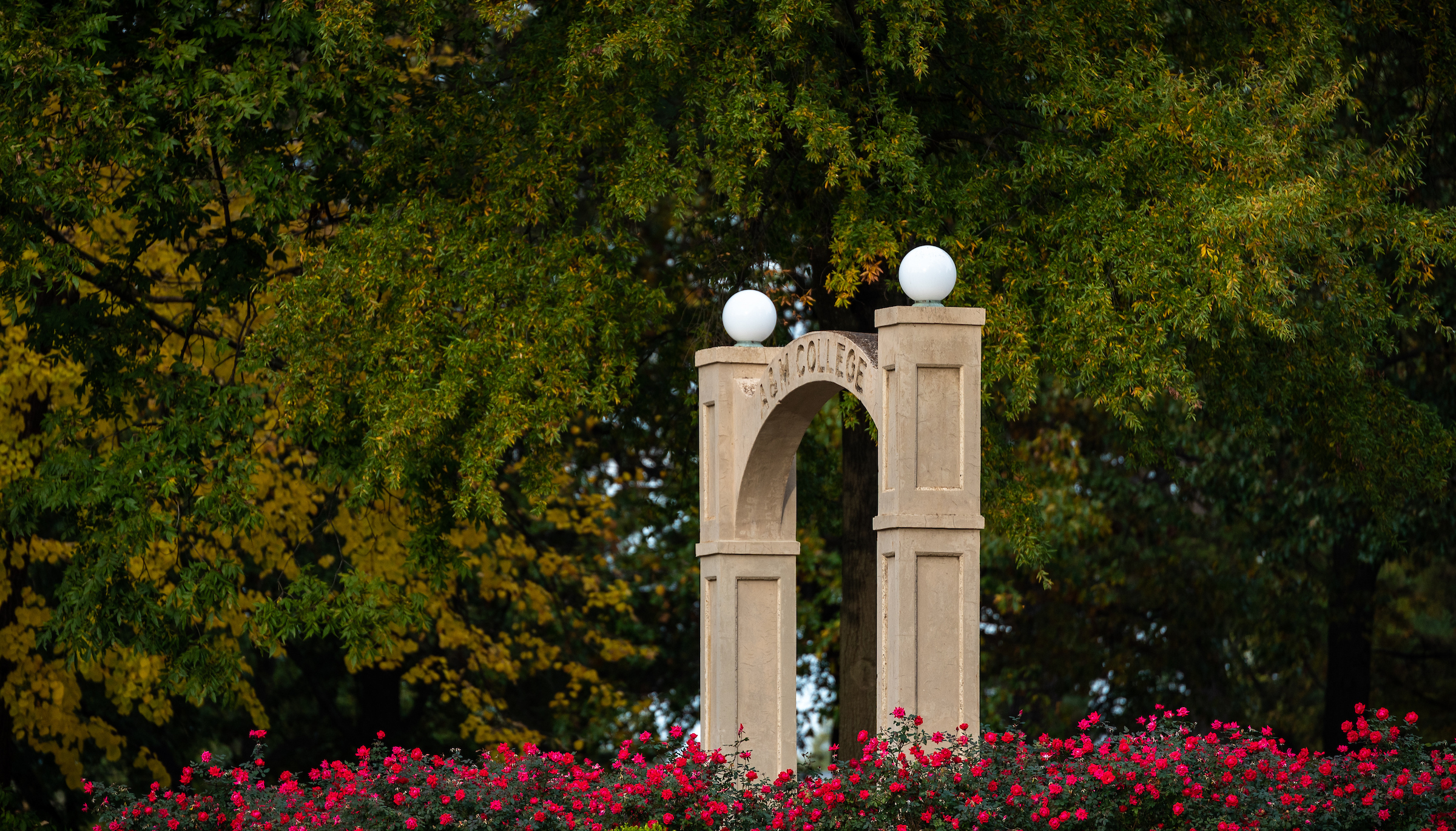 A-State’s historic A&M College arch framed by red flowers and fall trees on campus.