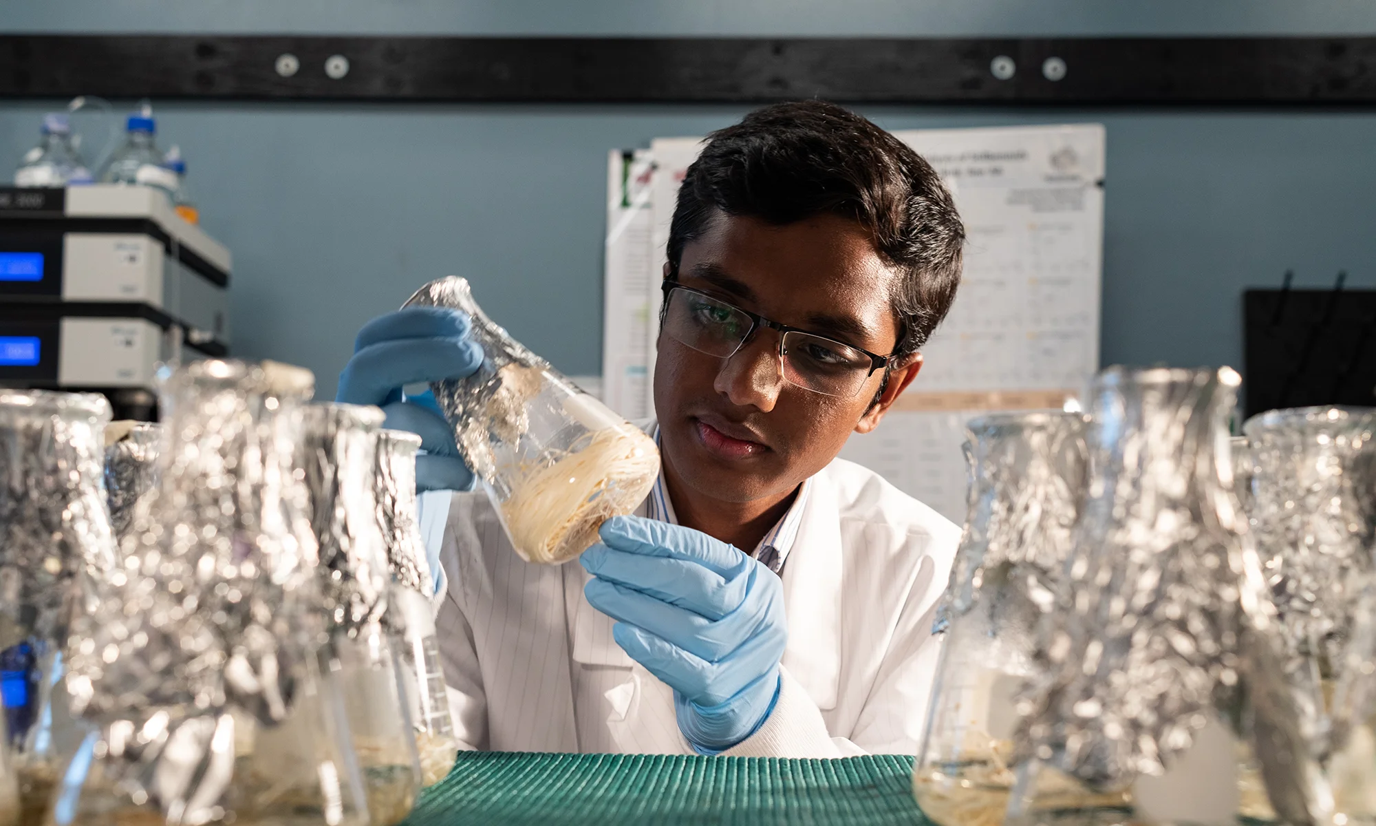 A student inspecting beakers of material.