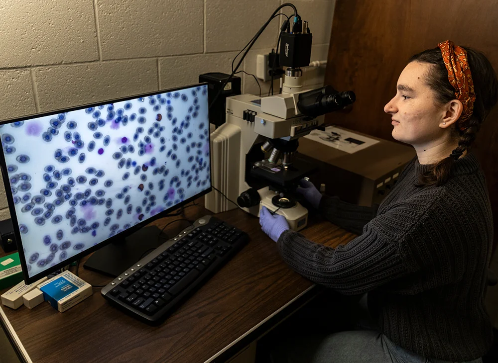 Student looking at cells on a computer