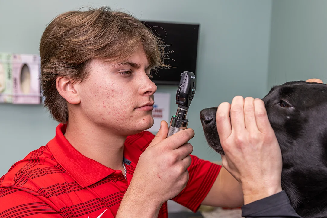 A student checking a dog's nose.