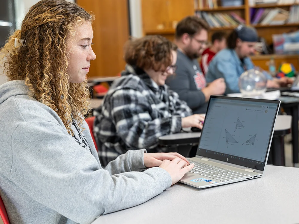 A student creating a graph on a laptop.