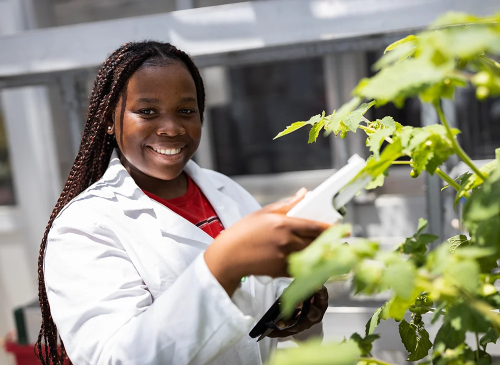 Student testing a plant.