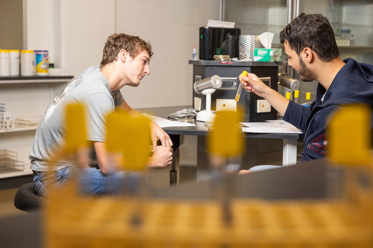 Two students working on a science lab experiment with test tubes in a classroom setting.