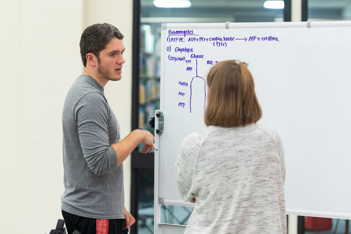 Students tutoring in one of the tutoring centers.