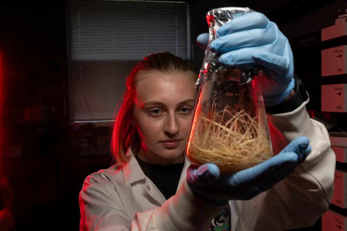 Student in lab coat studies plant roots in flask under red light.