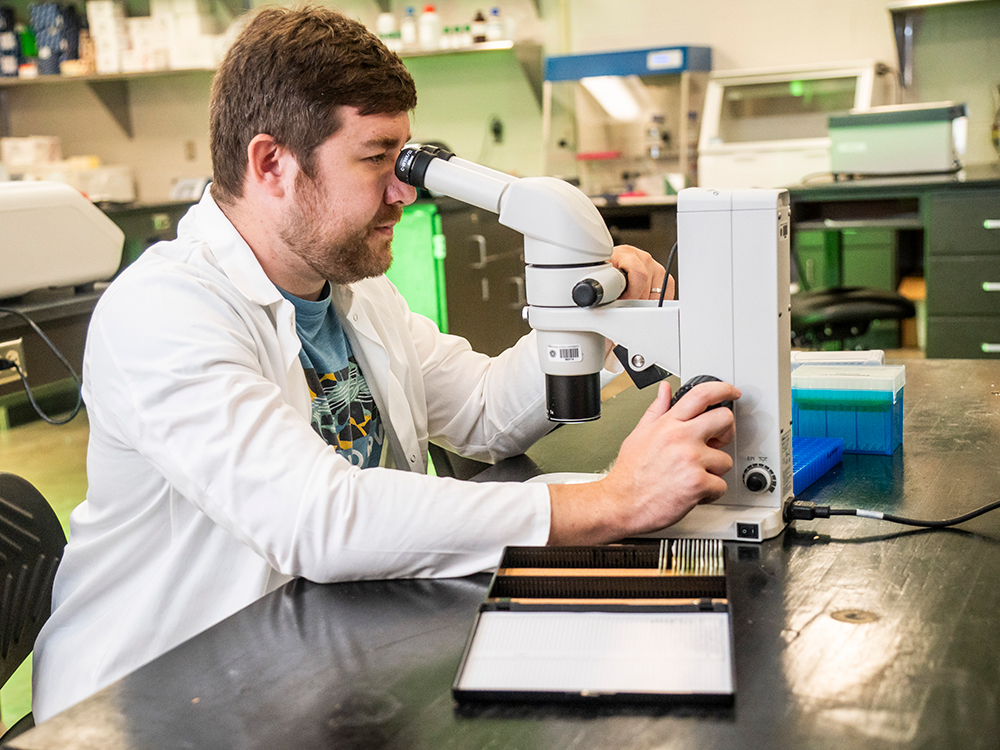 Faculty member in lab coat uses a microscope for research in a science lab with equipment and supplies in the background.
