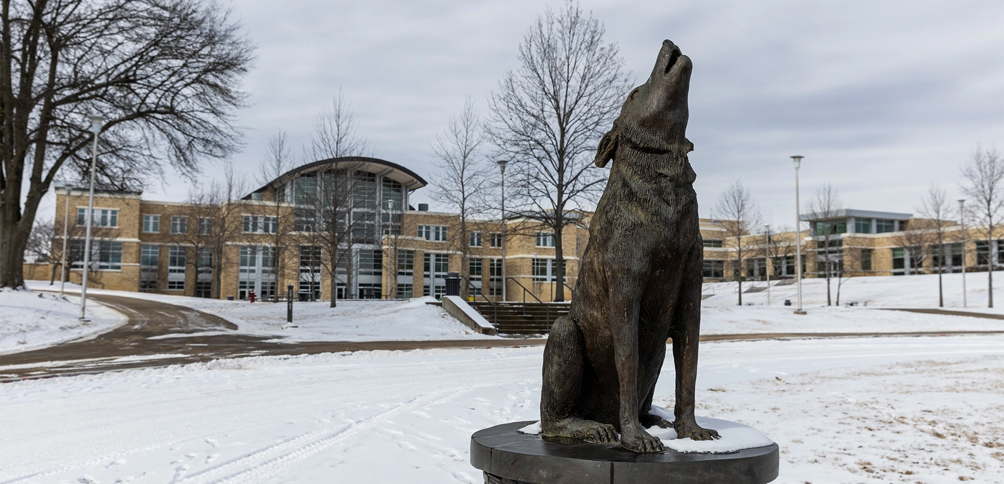 Howling wolf statue on the snowy A-State campus.