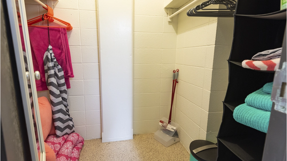 Walk-in closet with hanging rod and fabric shelving unit in Kays Hall suite.