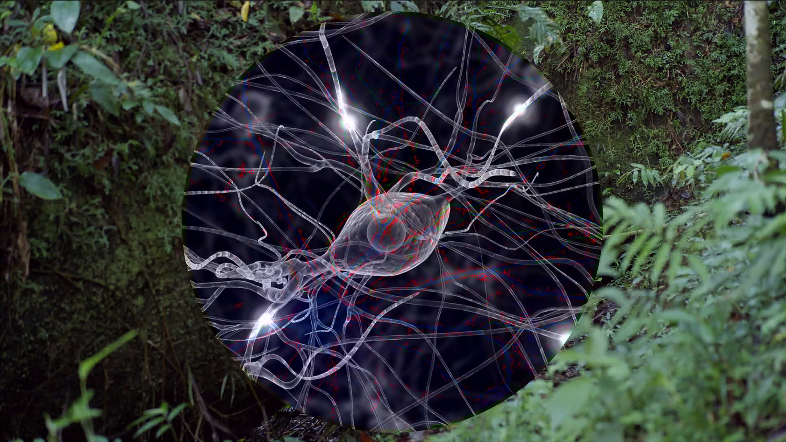 Image of Forest Neural Eye