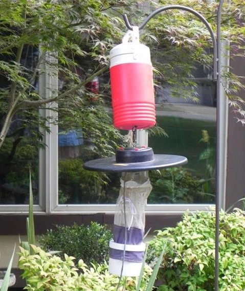 Citizen Science Mosquito Project, with A State and City of Jonesboro, in Year Two