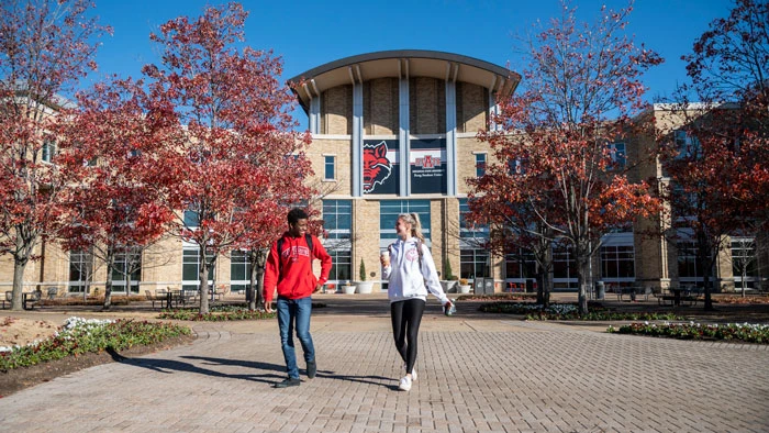 Female Faculty Participate in Roundtable on Impact of Gender in the Workplace