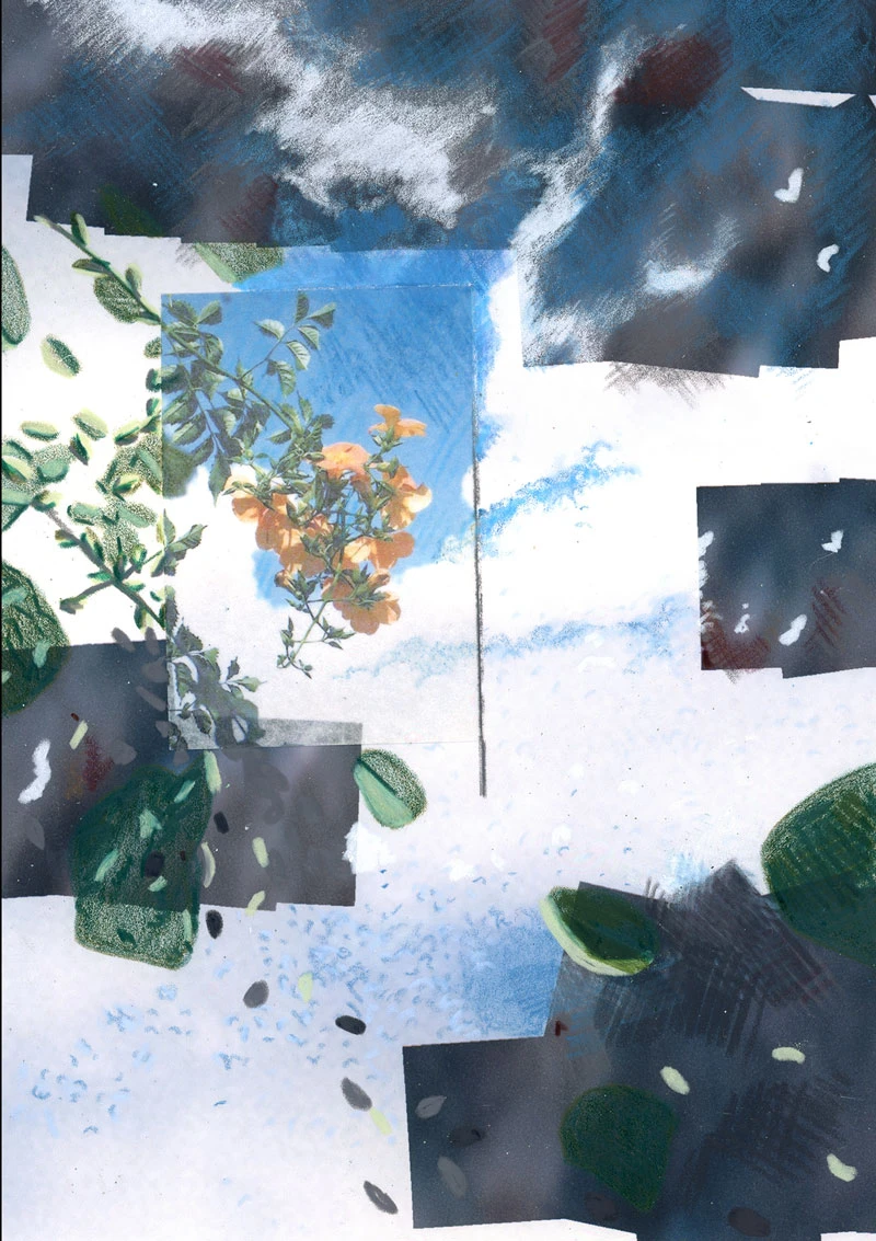 The Soft Animal of Your Body