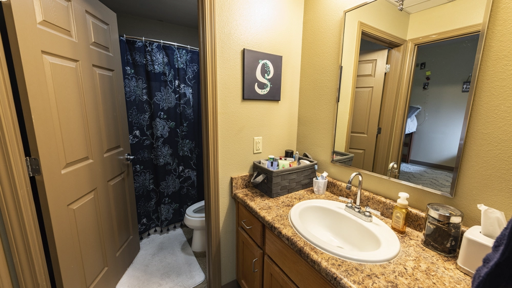 Bathroom featuring sink, counter, and shower with patterned curtain.