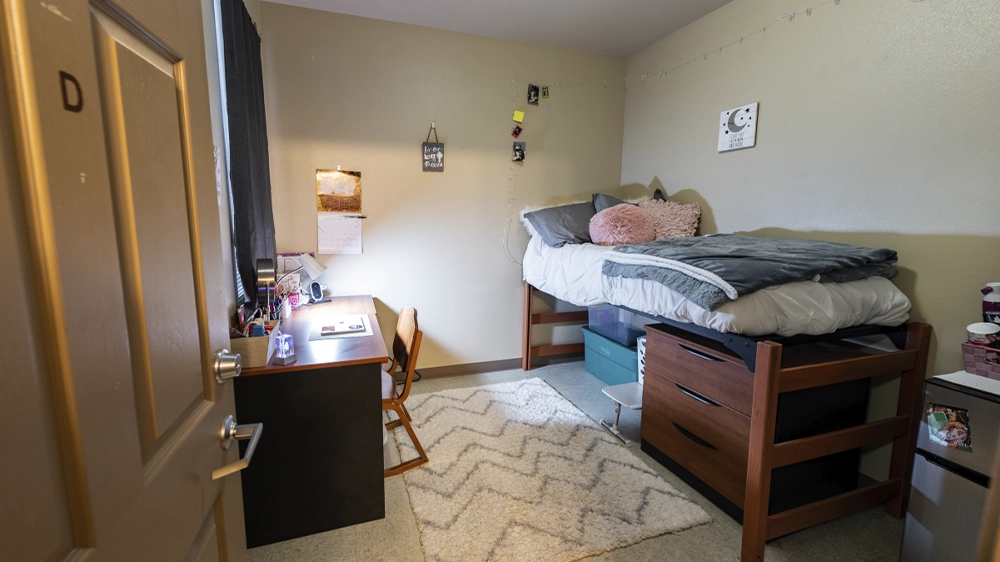 Bedroom with lofted bed, desk, and cozy rug near bathroom entrance.