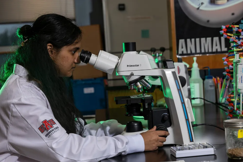 A-State student with lab coat looking in microscope