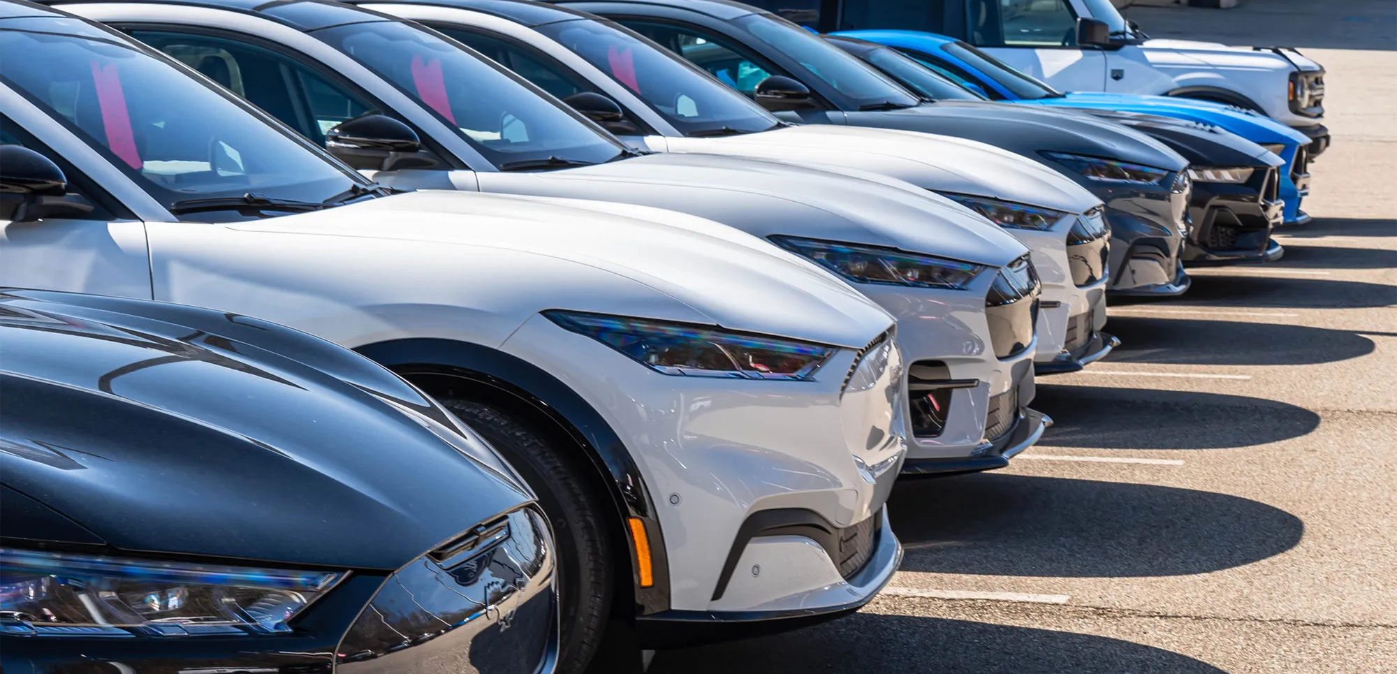 line of cars in a parking lot