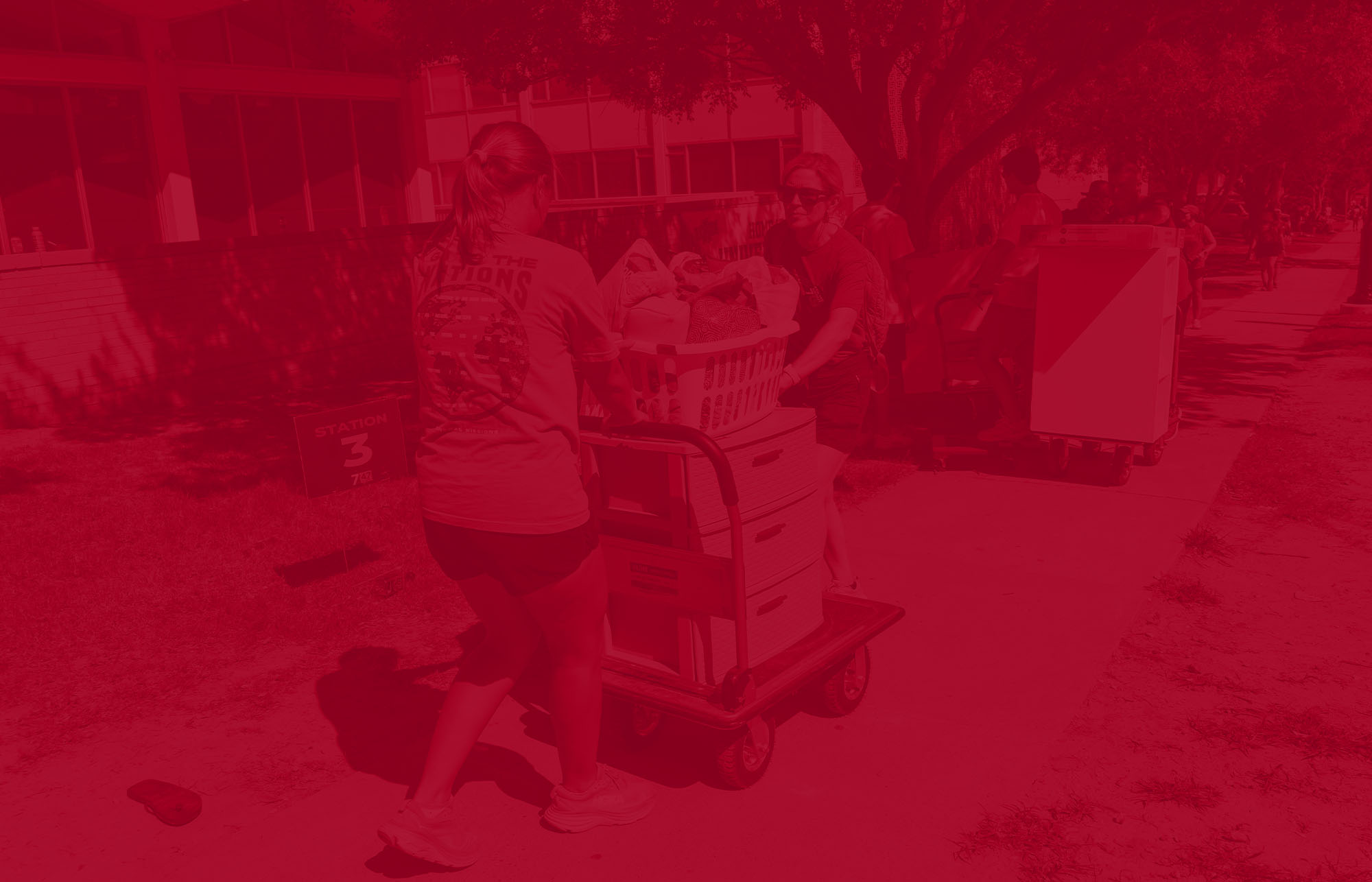 Students Moving Belongings for Bedrooms