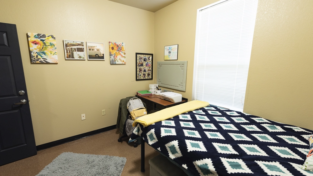 Bedroom in Red Wolf Den apartment with full-size bed, patterned bedding, desk with mirror, and decorative wall art.