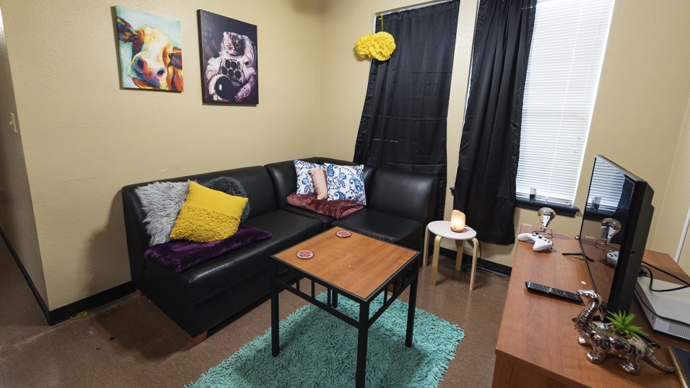 Living room in Red Wolf Den apartment with black sectional sofa, colorful pillows, small wooden coffee table on teal rug, wall art, and TV on a wooden stand near two windows with black curtains.