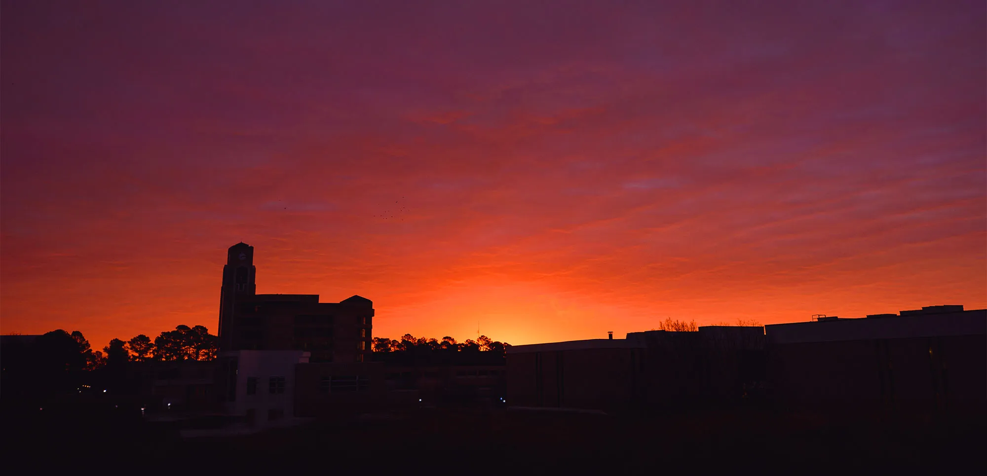 colorful sunrise behind a dark silhouette of the Dean B. Ellis Library