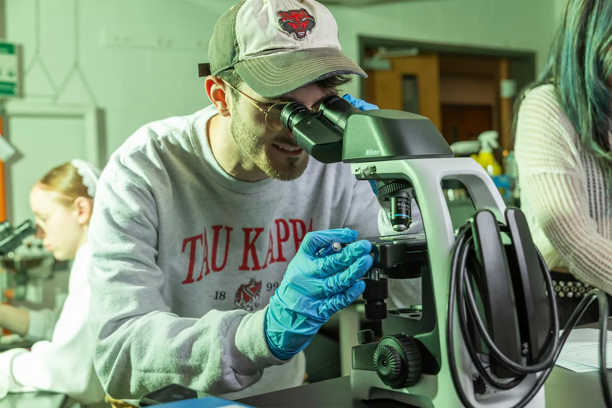 Student in TKE sweatshirt uses a microscope in a lab, wearing gloves and concentrating on a slide.