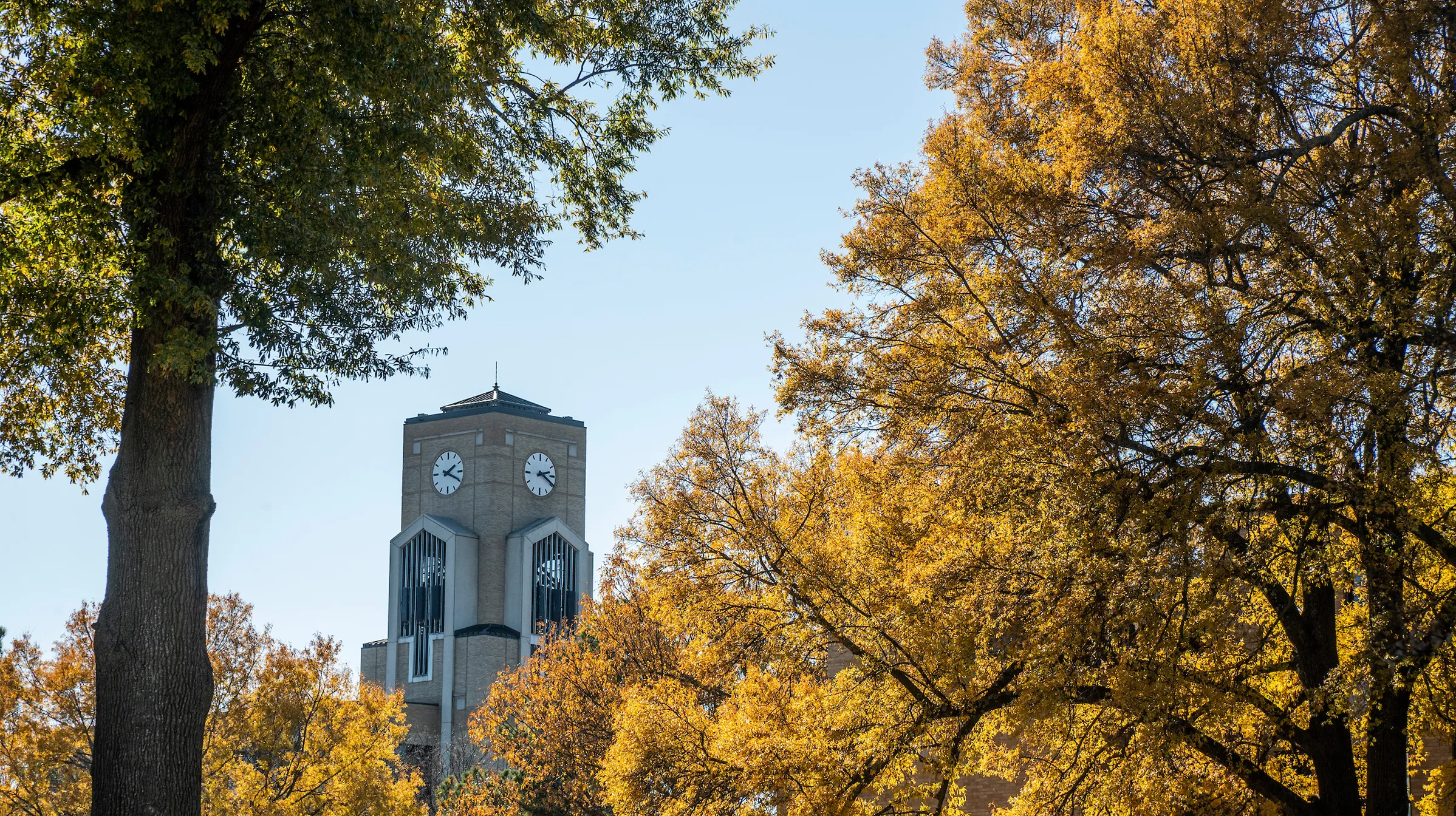view of the library clock tower from a distance, through a mass of fall colored trees