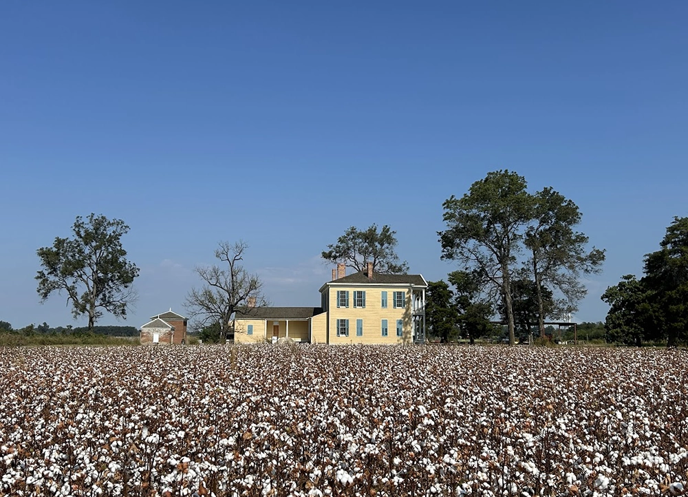 Lakeport Plantation with cotton fields in front of them.